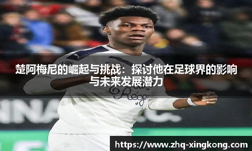 星空体育官方网站